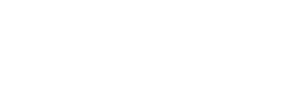 Netizo logo